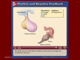 03/18/1603/18/16 15:5415:54 cottinghamcottingham
 