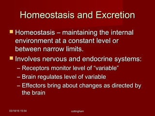 03/18/1603/18/16 15:5415:54 cottinghamcottingham
Homeostasis and ExcretionHomeostasis and Excretion
 Homeostasis – maintaining the internalHomeostasis – maintaining the internal
environment at a constant level orenvironment at a constant level or
between narrow limits.between narrow limits.
 Involves nervous and endocrine systems:Involves nervous and endocrine systems:
– Receptors monitor level of “variable”Receptors monitor level of “variable”
– Brain regulates level of variableBrain regulates level of variable
– Effectors bring about changes as directed byEffectors bring about changes as directed by
the brainthe brain
 