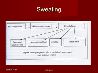 03/18/1603/18/16 15:5415:54 cottinghamcottingham
SweatingSweating
 