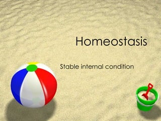 Homeostasis Stable internal condition 