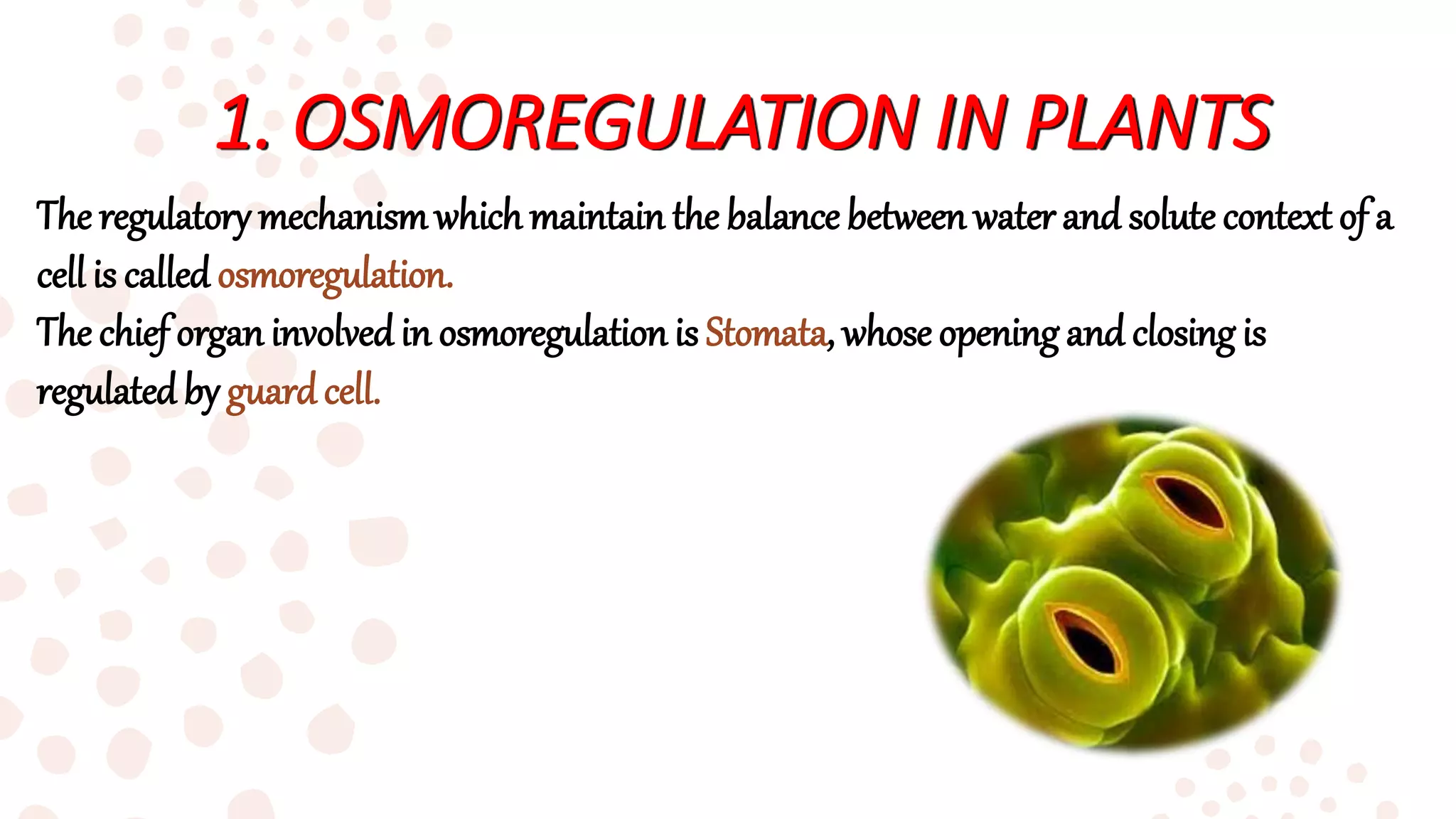 Homeostasis Its Control Mechanism PPT homeostasis-its-control-mechanism-ppt