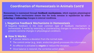 Homeostasis, their coordination and functions in Animals | PPTX