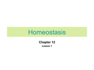 Homeostasis Chapter 12 Lesson 1 