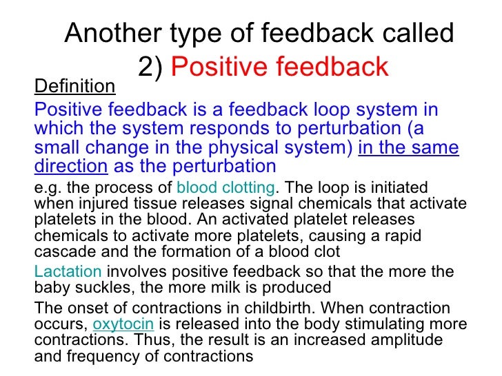 Chapter 12 Homeostasis Lesson 1 The Need for Homeostasis