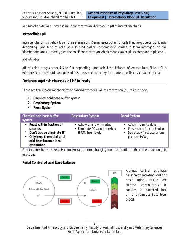 Homeostasis, maintenance of blood ph
