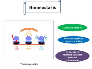 Homeostasis of Metals.pptx