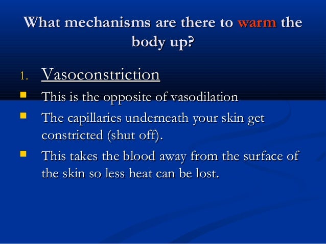Homeostasis of the body