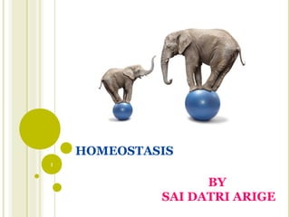 HOMEOSTASIS
BY
SAI DATRI ARIGE
1
 