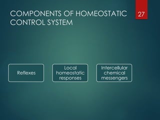 Homeostasis PART A in surgery a brief summary.pptx