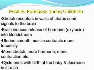 •Stretch receptors in walls of uterus sendStretch receptors in walls of uterus send
signals to the brainsignals to the brain
•Brain induces release of hormone (oxytocin)Brain induces release of hormone (oxytocin)
into bloodstreaminto bloodstream
•Uterine smooth muscle contracts moreUterine smooth muscle contracts more
forcefullyforcefully
•More stretch, more hormone, moreMore stretch, more hormone, more
contraction etc.contraction etc.
•Cycle ends with birth of the baby & decreaseCycle ends with birth of the baby & decrease
in stretchin stretch
Positive Feedback during ChildbirthPositive Feedback during Childbirth
 