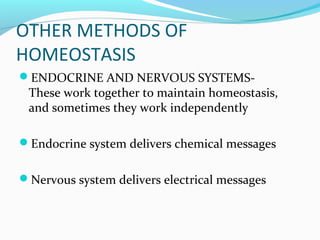 OTHER METHODS OF
HOMEOSTASIS
ENDOCRINE AND NERVOUS SYSTEMS-
These work together to maintain homeostasis,
and sometimes they work independently
Endocrine system delivers chemical messages
Nervous system delivers electrical messages
 