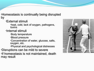 •Homeostasis is continually being disruptedHomeostasis is continually being disrupted
byby
•External stimuliExternal stimuli
•heat, cold, lack of oxygen, pathogens,heat, cold, lack of oxygen, pathogens,
toxinstoxins
•Internal stimuliInternal stimuli
•Body temperatureBody temperature
•Blood pressureBlood pressure
•Concentration of water, glucose, salts,Concentration of water, glucose, salts,
oxygen, etc.oxygen, etc.
•Physical and psychological distressesPhysical and psychological distresses
•Disruptions can be mild to severeDisruptions can be mild to severe
•If homeostasis is not maintained, deathIf homeostasis is not maintained, death
may resultmay result
 