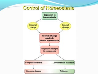 Control of HomeostasisControl of Homeostasis
 