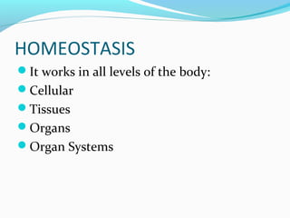 HOMEOSTASIS
It works in all levels of the body:
Cellular
Tissues
Organs
Organ Systems
 