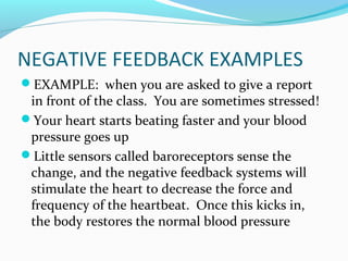 NEGATIVE FEEDBACK EXAMPLES
EXAMPLE: when you are asked to give a report
in front of the class. You are sometimes stressed!
Your heart starts beating faster and your blood
pressure goes up
Little sensors called baroreceptors sense the
change, and the negative feedback systems will
stimulate the heart to decrease the force and
frequency of the heartbeat. Once this kicks in,
the body restores the normal blood pressure
 