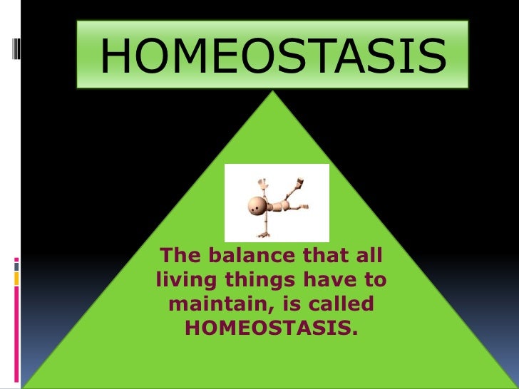 Homeostasis powerpoint