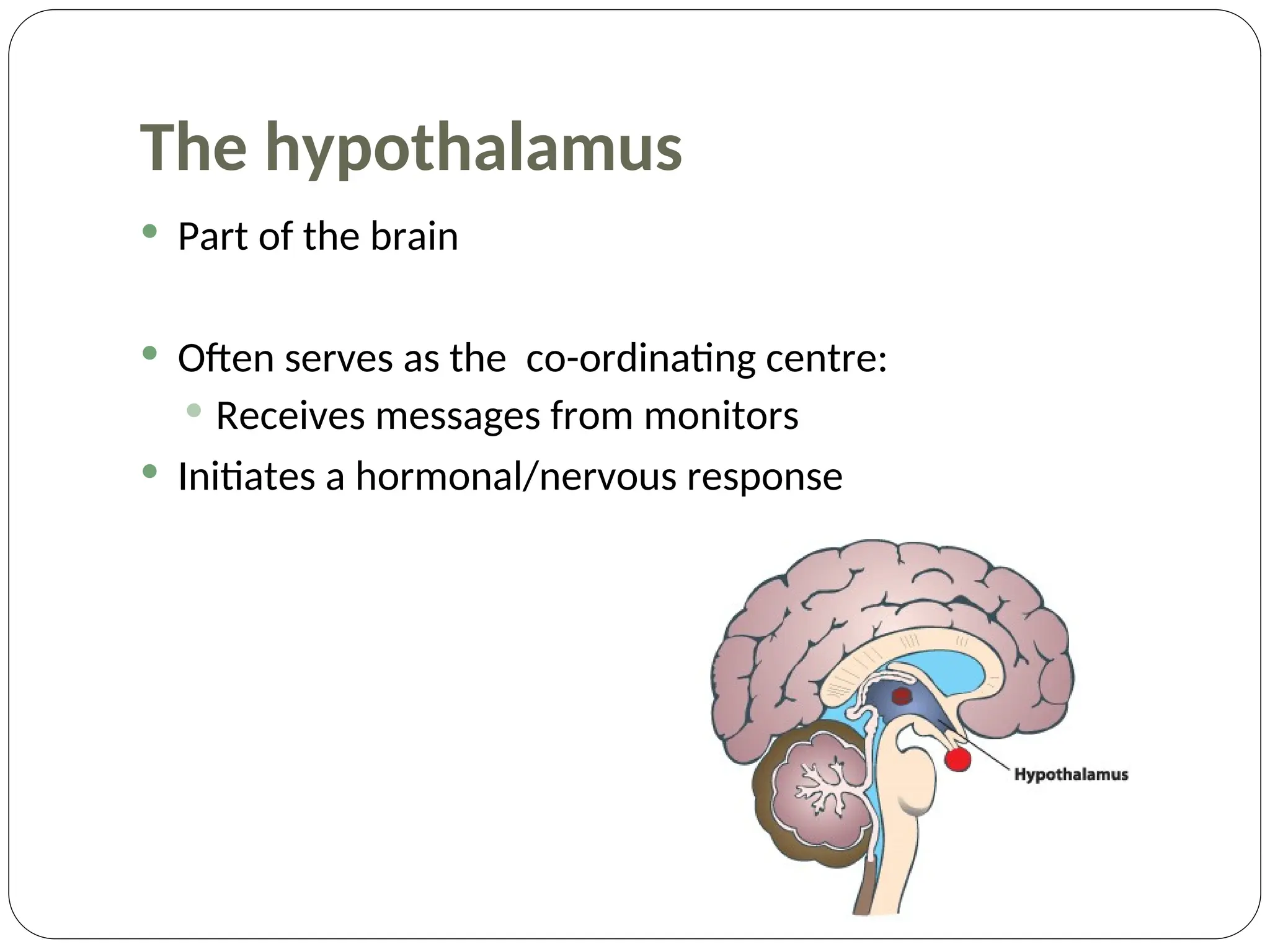 Homeostasis PPT humana anatomy and physiology | PPT