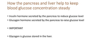 How the pancreas and liver help to keep
blood glucose concentration steady
• Insulin hormone secreted by the pancreas to reduce glucose level
• Glucagon hormone secreted by the pancreas to raise glucose level
• IMPORTANT
• Glycogen is glucose stored in the liver.
 