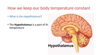 How we keep our body temperature constant
• What is the Hypothalamus?
• The Hypothalamus is a part of the brain which helps regulate body
temperature
 