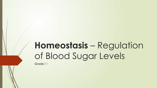 Homeostasis – Regulation of Blood Sugar Levels.pptx