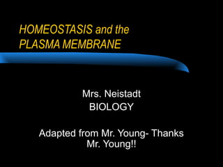 HOMEOSTASIS and the
PLASMA MEMBRANE


           Mrs. Neistadt
            BIOLOGY

   Adapted from Mr. Young- Thanks
             Mr. Young!!
 