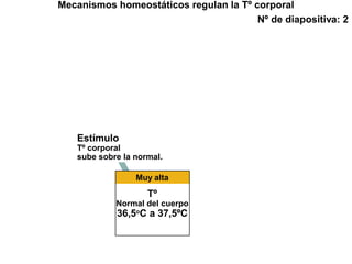 Mecanismos homeostáticos regulan la Tº corporal
Nº de diapositiva: 2
Estímulo
Tº corporal
sube sobre la normal.
Muy alta
Tº
Normal del cuerpo
36,5o
C a 37,5ºC
 