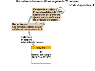 Mecanismos homeostáticos regulan la Tº corporal
Nº de diapositiva: 4
Centro de control
El cerebro detecta la
desviación del punto de
ajuste y envía señales a
los órganos efectores.
Receptores
Los termoreceptores envían
señales al centro de control.
Estímulo
Tº corporal
sube sobre la normal.
Muy alta
Tº
Normal del cuerpo
36,5o
C a 37,5ºC
 