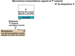 Receptores
Los termoreceptores envían
señales al centro de control.
muy baja
Tº
Normal del cuerpo
36,5o
C a 37,5ºC
Mecanismos homeostáticos regulan la Tº corporal
Nº de diapositiva: 8
Estímulo
Tº corporal
cae bajo la normal.
 