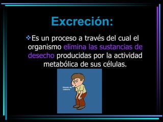 Excreción: Es un proceso a través del cual el organismo  elimina las sustancias de desecho  producidas por la actividad metabólica de sus células. 