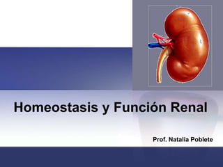 Homeostasis y Función Renal Prof. Natalia Poblete 