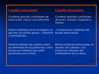 Líquido extracelular                    Líquido intracelular
Contiene grandes cantidades de          Contiene grandes cantidades
iones sodio, cloruro y bicarbonato      de iones:, potasio, magnesio y
                                        fosfato.

Posee nutrientes como el oxígeno, la - Incorpora los nutrientes del
glucosa, los ácidos grasos , colesterol líquido extracelular.
y aminoácidos,


Presenta dióxido de carbono para        Elimina al líquido extracelular, el
ser eliminado en los pulmones y otros   dióxido "de carbono y los
productos celulares que serán           productos celulares del
excretados por el riñón.                metabolismo de la célula.
 
