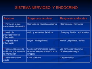 SISTEMA NERVIOSO Y ENDOCRINO

Aspecto                    Respuesta nerviosa                  Respuesta endocrina
   Forma en la que         Secreción de neurotransmisores      Secreción de Hormonas
transmite la información

   Medio de                Axón y terminales Axónicos.          Sangre y Matriz   extracelular
propagación de la
información
   Rapidez de la           Mayor ( milisegundos)               Menor ( segundos , horas)
información

   Concentración de la     Los neurotransmisores pueden        Las hormonas viajan muy
molécula que transmite     alcanzar alta concentración en la   diluidas en la sangre.
la información             sinapsis
  Permanencia del          Corta duración                      Larga duración
efecto
 