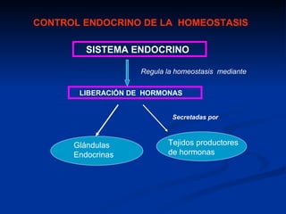 CONTROL ENDOCRINO DE LA HOMEOSTASIS

         SISTEMA ENDOCRINO

                    Regula la homeostasis mediante


       LIBERACIÓN DE HORMONAS


                            Secretadas por



      Glándulas            Tejidos productores
      Endocrinas           de hormonas
 