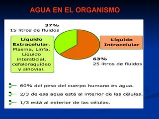AGUA EN EL ORGANISMO
 