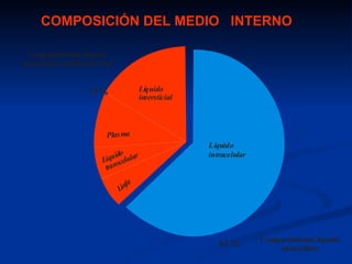 COMPOSICIÓN DEL MEDIO INTERNO

  C ompartimiento líquido
extracelular (medio inte rno)


                     37 %                Líquido
                                         intersticial



                           Plas ma
                                                        Líquido
                              do                        intracelular
                          íqui celular
                         L s
                          tran

                                   fa
                                Lin




                                                           63 %        C ompartimiento líquido
                                                                            intracelular
 