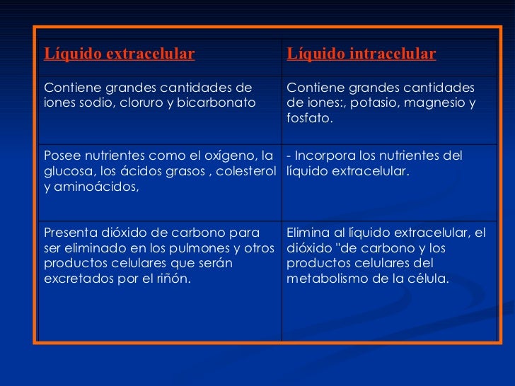 Homeostasis y medio interno.