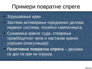 Примери повратне спреге
• Згрушавање крви.
• Захтева активирање поједниних делова
нервног система, посебно симпатикуса.
• Сужавање крвног суда, стварање
тромбоцитног чепа и настанак крвног
угрушка (коагулација)
• Позитивна повратна спрега – дешава
се док се крв не згруша.
 