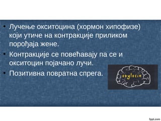 • Лучење окситоцина (хормон хипофизе)
који утиче на контракције приликом
порођаја жене.
• Контракције се повећавају па се и
окситоцин појачано лучи.
• Позитивна повратна спрега.
 