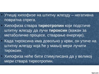 • Утицај хипофизе на штитну жлезду – негативна
повратна спрега.
• Хипофиза ствара тиреотропин који подстиче
штитну жлезду да лучи тироксин (важан за
метаболичке процесе, стварање енергије).
• Када тироксина има довољно у крви, он утиче на
штитну жлезду која ће у мањој мери лучити
тироксин.
• Хипофиза неће бити стимулисана да у великој
мери ствара тиреотропин.
 