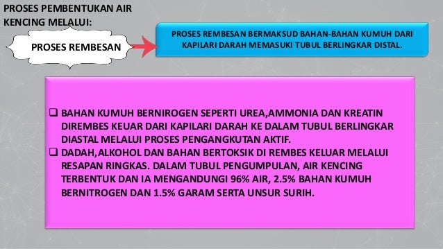 Homeostasis Dalam Manusia