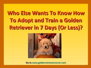 Who Else Wants To Know How To Adopt and Train a Golden Retriever in 7 Days (Or Less)? Go to  www.goldenretrievercorner.com 