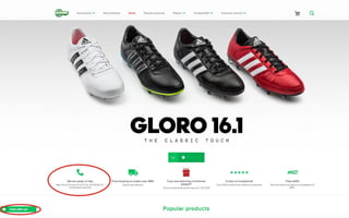 Homepage's conversion