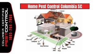 Home Pest Control Columbia SC
1803-764-7866
 
