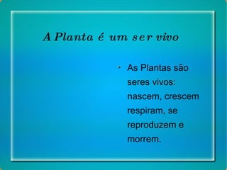 A Planta é um ser vivo As Plantas são seres vivos: nascem, crescem respiram, se reproduzem e morrem. 