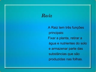 Raiz A Raiz tem três funções principais: Fixar a planta, retirar a água e nutrientes do solo e armazenar parte das substâncias que são produzidas nas folhas. 