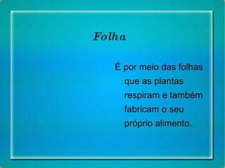 Folha É por meio das folhas que as plantas respiram e também fabricam o seu próprio alimento. 