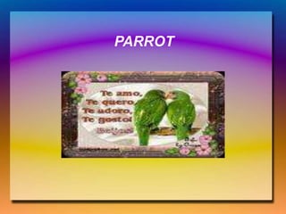 PARROT
 