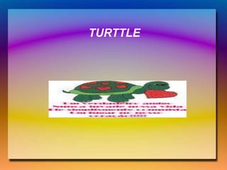 TURTTLE
 