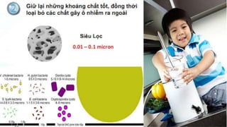 Máy lọc nước Home Pure