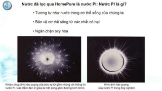 Máy lọc nước Home Pure